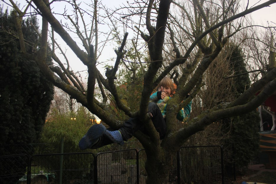 Jan auf einem Baum